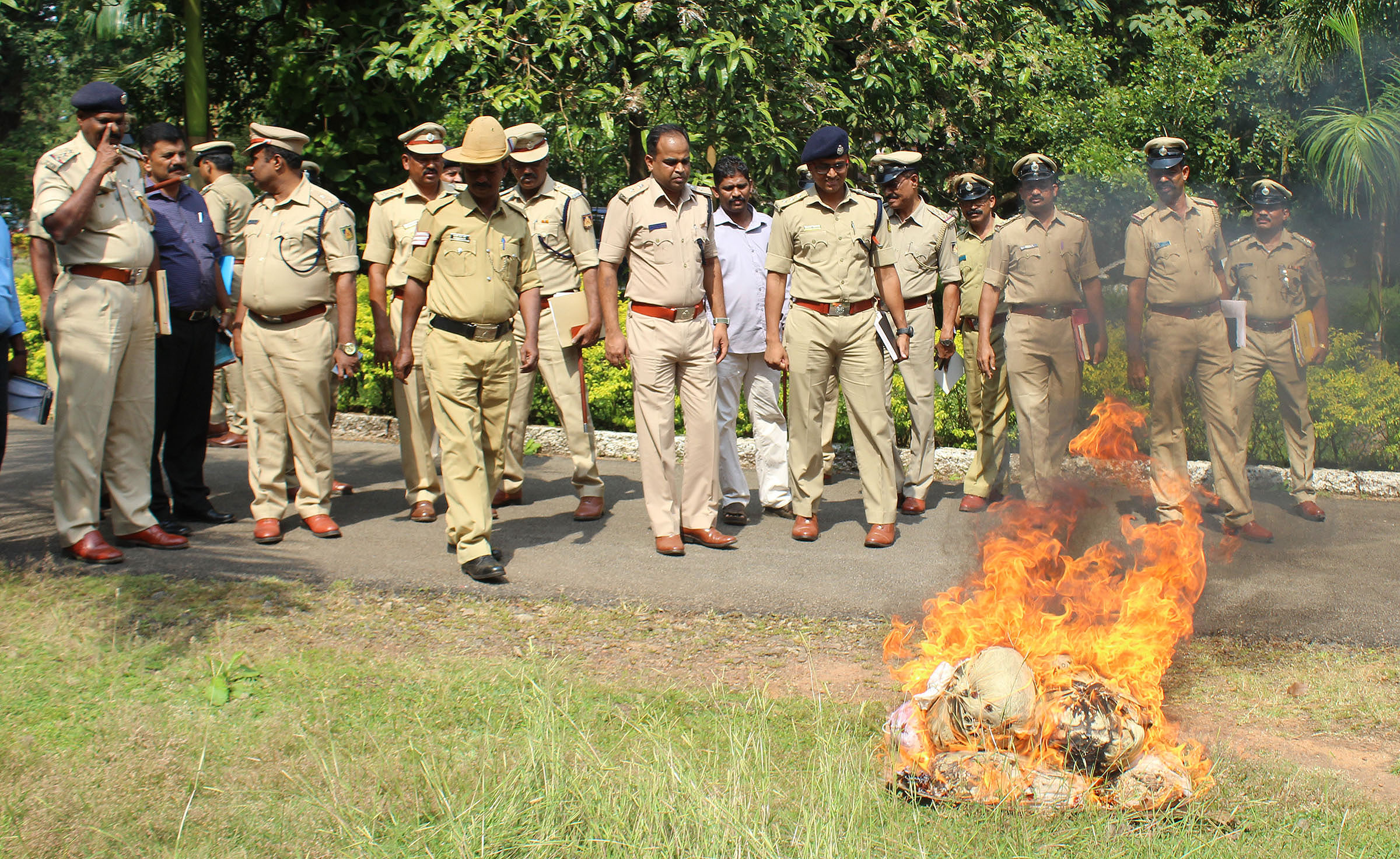 ಉಡುಪಿ: ಪೊಲೀಸರಿಂದ 10 ಕೆ.ಜಿ. ಗಾಂಜಾ ನಾಶ